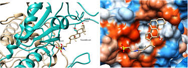 Protein Bioinformatics, systems biology